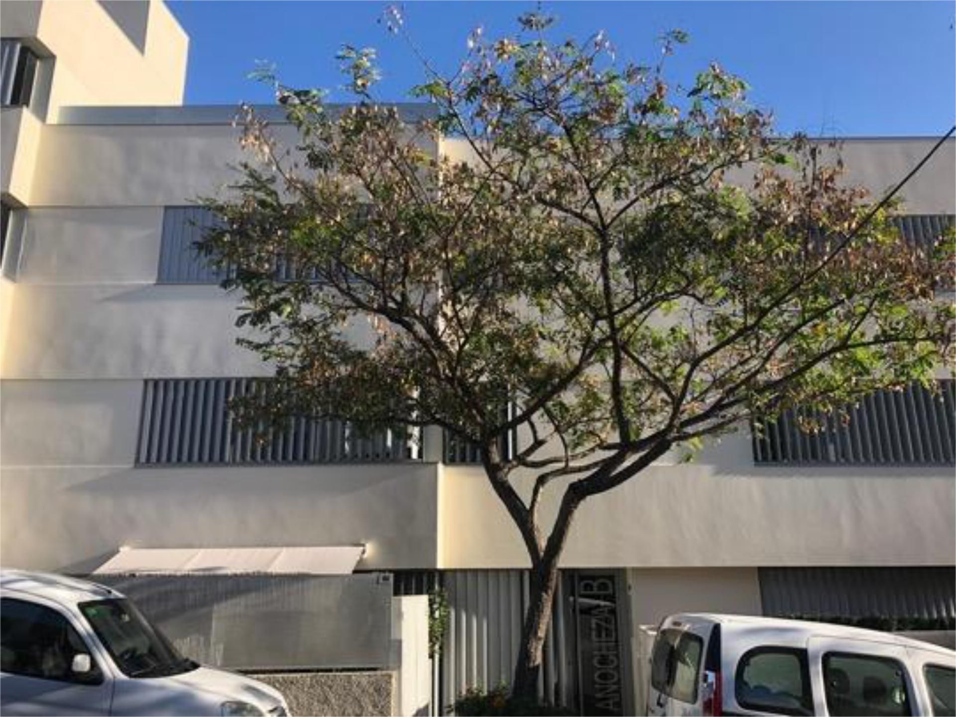 Vista exterior de Pis en venda en Güímar amb Traster i Moblat