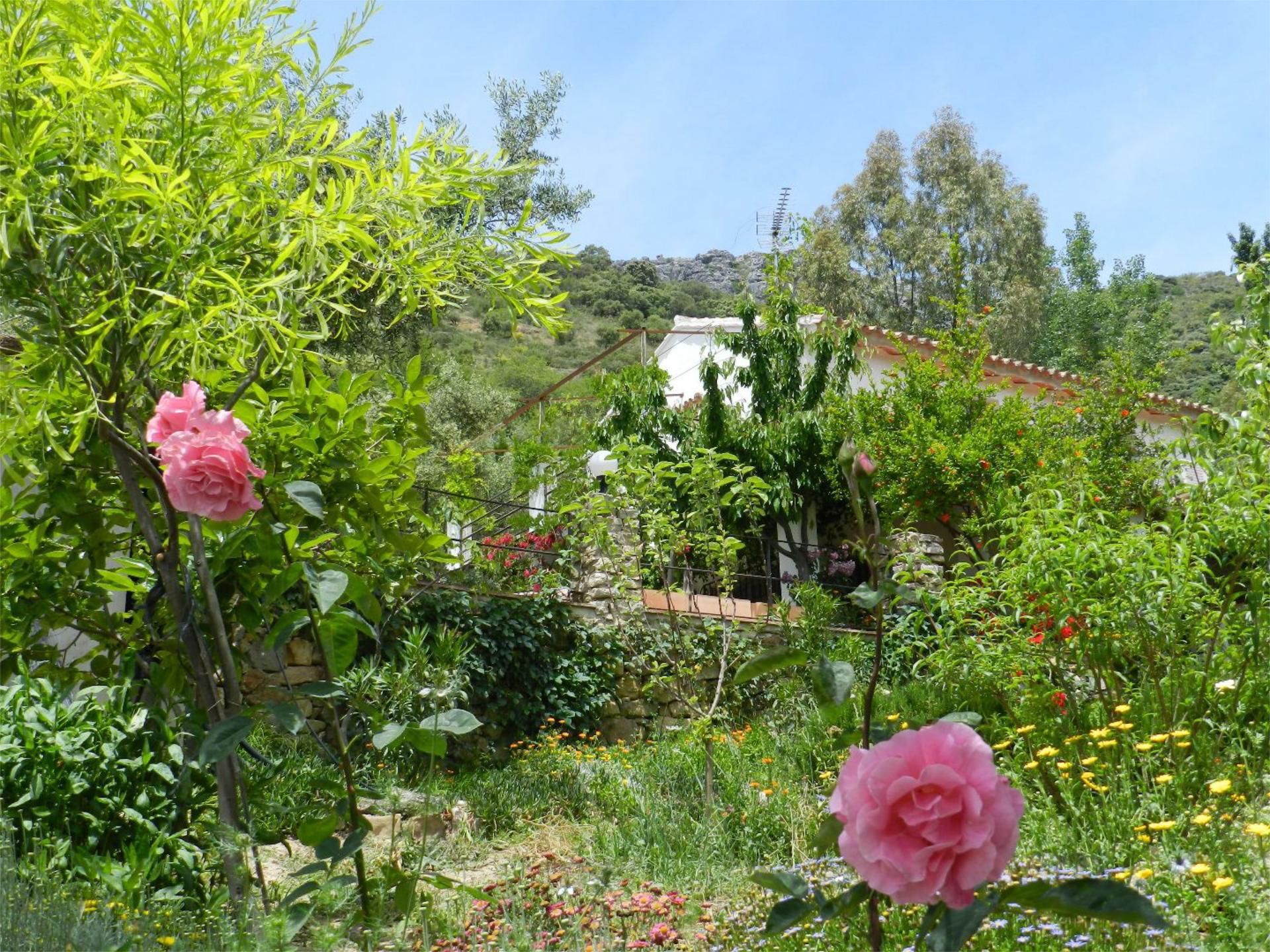 Jardí de Casa o xalet de lloguer en Cortes de la Frontera amb Aire condicionat, Calefacció i Jardí privat