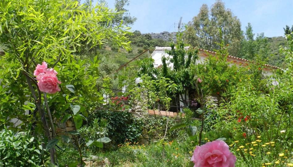 House or chalet to rent in Camino Fontana, 5, Cortes de la Frontera, Málaga - image 1 Photo 1 of House or chalet to rent in Camino Fontana, 5, Cortes de la Frontera, Málaga