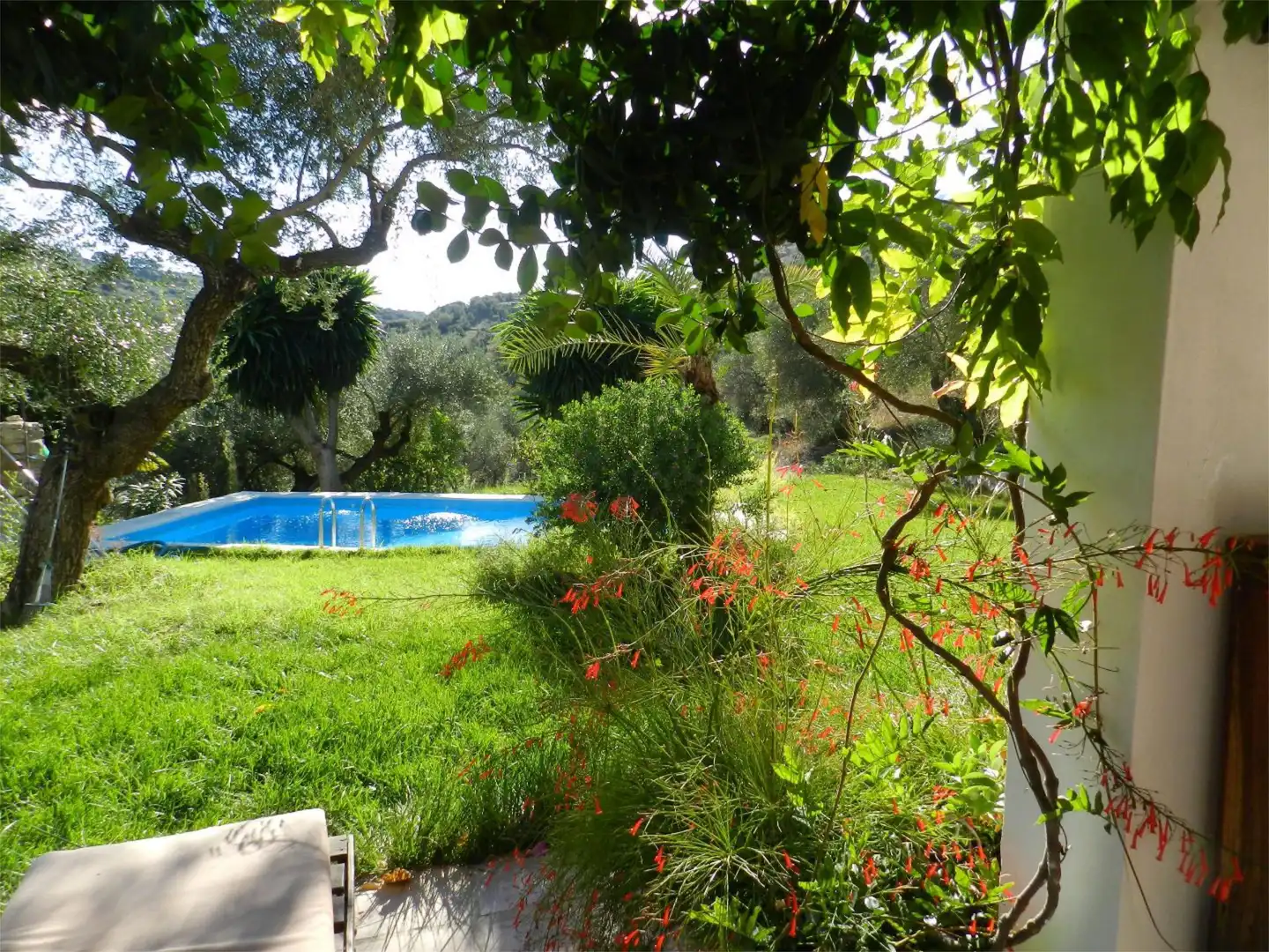Casa o chalet de alquiler en Camino Fontana, 5, Cortes de la Frontera Jardín de Casa o chalet de alquiler en Cortes de la Frontera con Aire acondicionado, Calefacción y Jardín privado