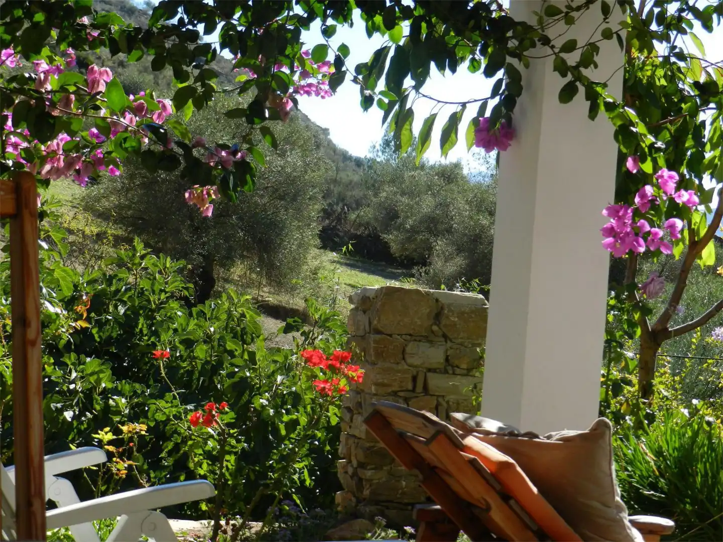 Casa o chalet de alquiler en Camino Fontana, 5, Cortes de la Frontera Jardín de Casa o chalet de alquiler en Cortes de la Frontera con Aire acondicionado, Calefacción y Jardín privado