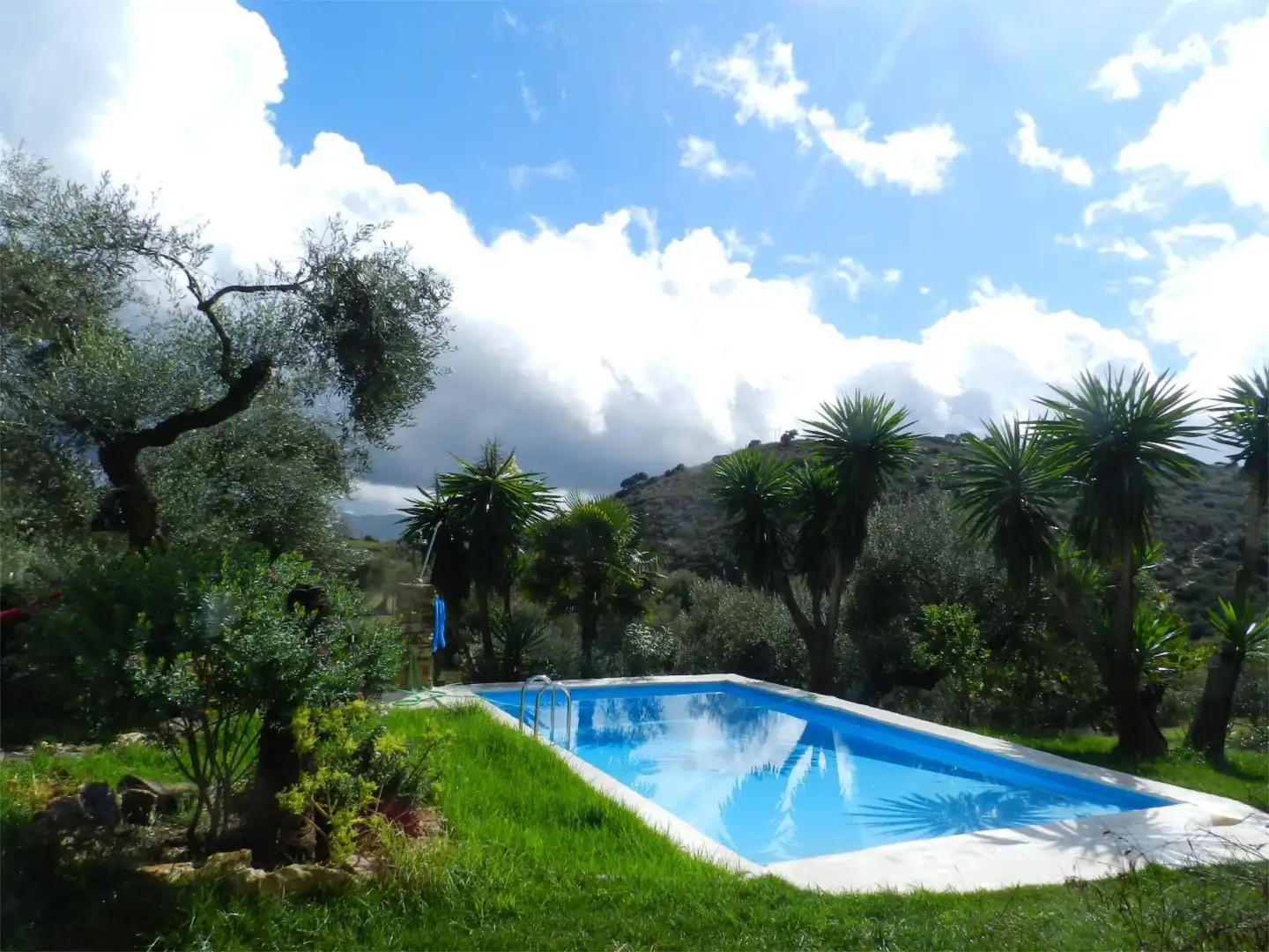 Casa o chalet de alquiler en Camino Fontana, 5, Cortes de la Frontera Jardín de Casa o chalet de alquiler en Cortes de la Frontera con Aire acondicionado, Calefacción y Jardín privado