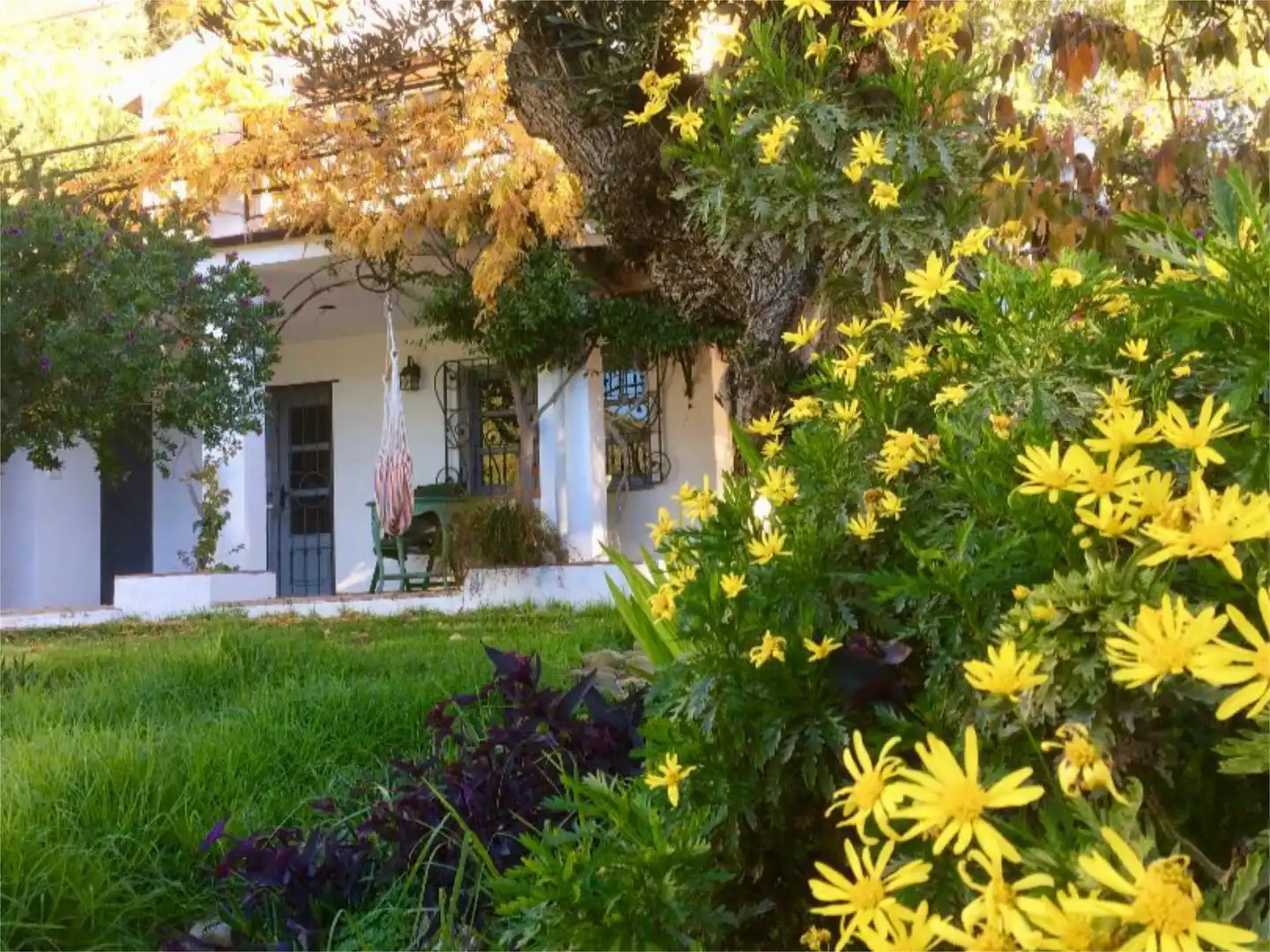 Casa o chalet de alquiler en Camino Fontana, 5, Cortes de la Frontera Jardín de Casa o chalet de alquiler en Cortes de la Frontera con Aire acondicionado, Calefacción y Jardín privado