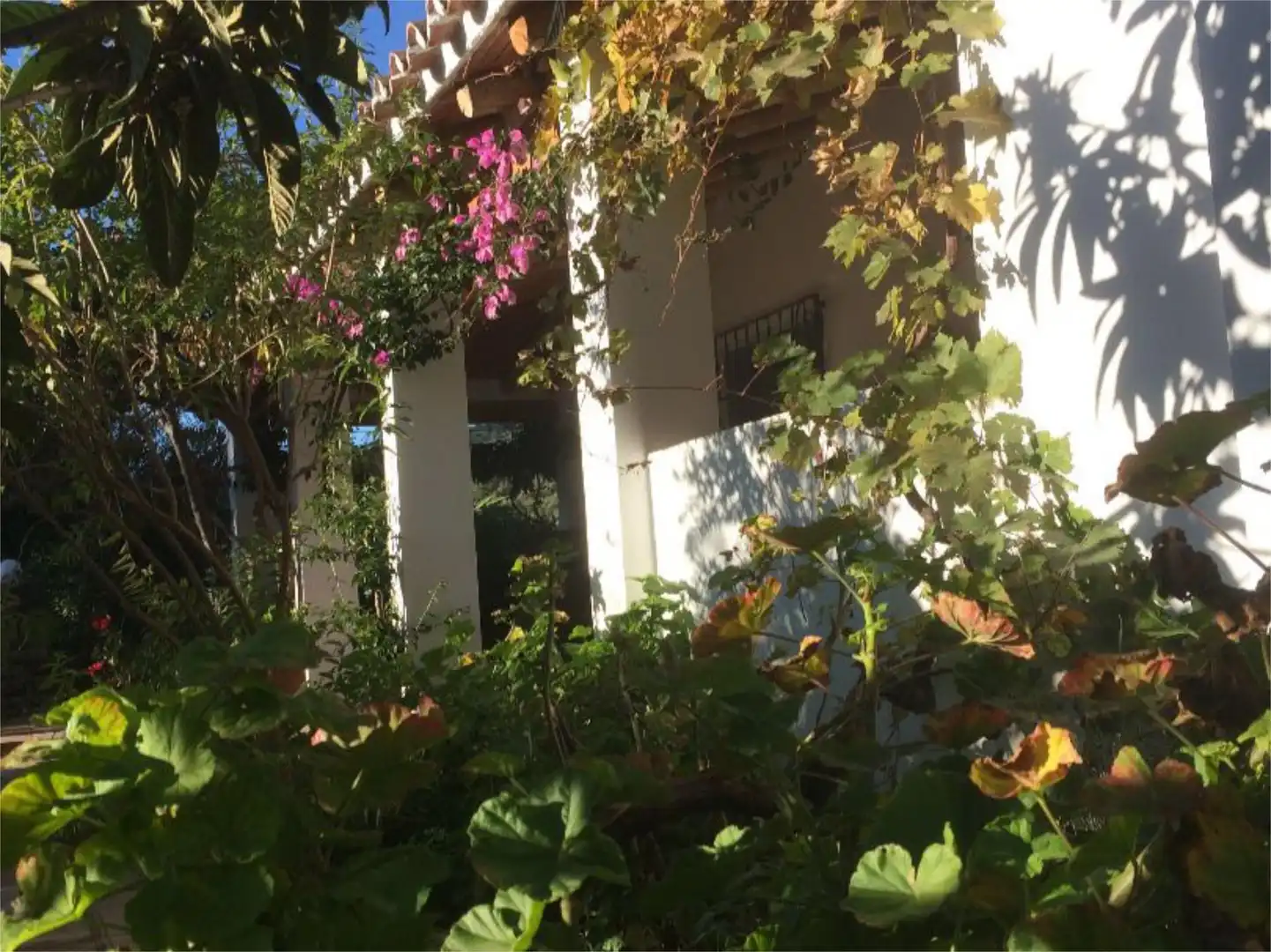 Casa o chalet de alquiler en Camino Fontana, 5, Cortes de la Frontera Jardín de Casa o chalet de alquiler en Cortes de la Frontera con Aire acondicionado, Calefacción y Jardín privado