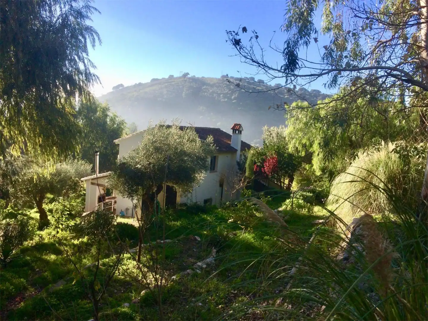 Casa o chalet de alquiler en Camino Fontana, 5, Cortes de la Frontera Vista exterior de Casa o chalet de alquiler en Cortes de la Frontera con Aire acondicionado, Calefacción y Jardín privado