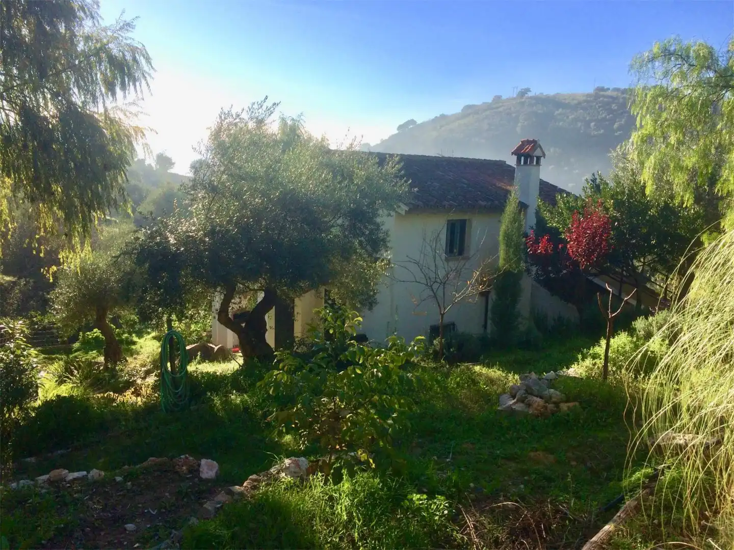 Casa o chalet de alquiler en Camino Fontana, 5, Cortes de la Frontera Vista exterior de Casa o chalet de alquiler en Cortes de la Frontera con Aire acondicionado, Calefacción y Jardín privado