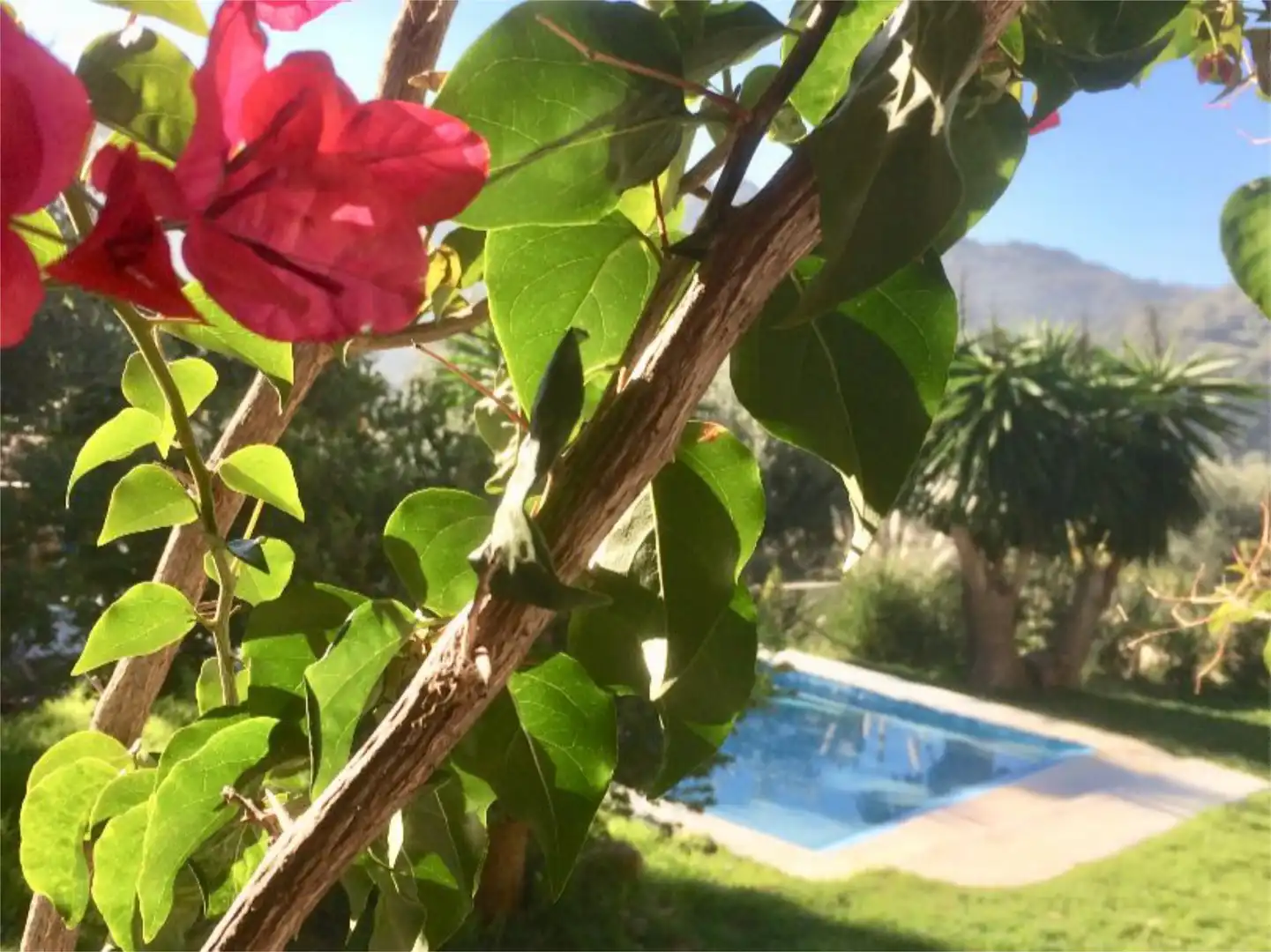 Casa o chalet de alquiler en Camino Fontana, 5, Cortes de la Frontera Jardín de Casa o chalet de alquiler en Cortes de la Frontera con Aire acondicionado, Calefacción y Jardín privado