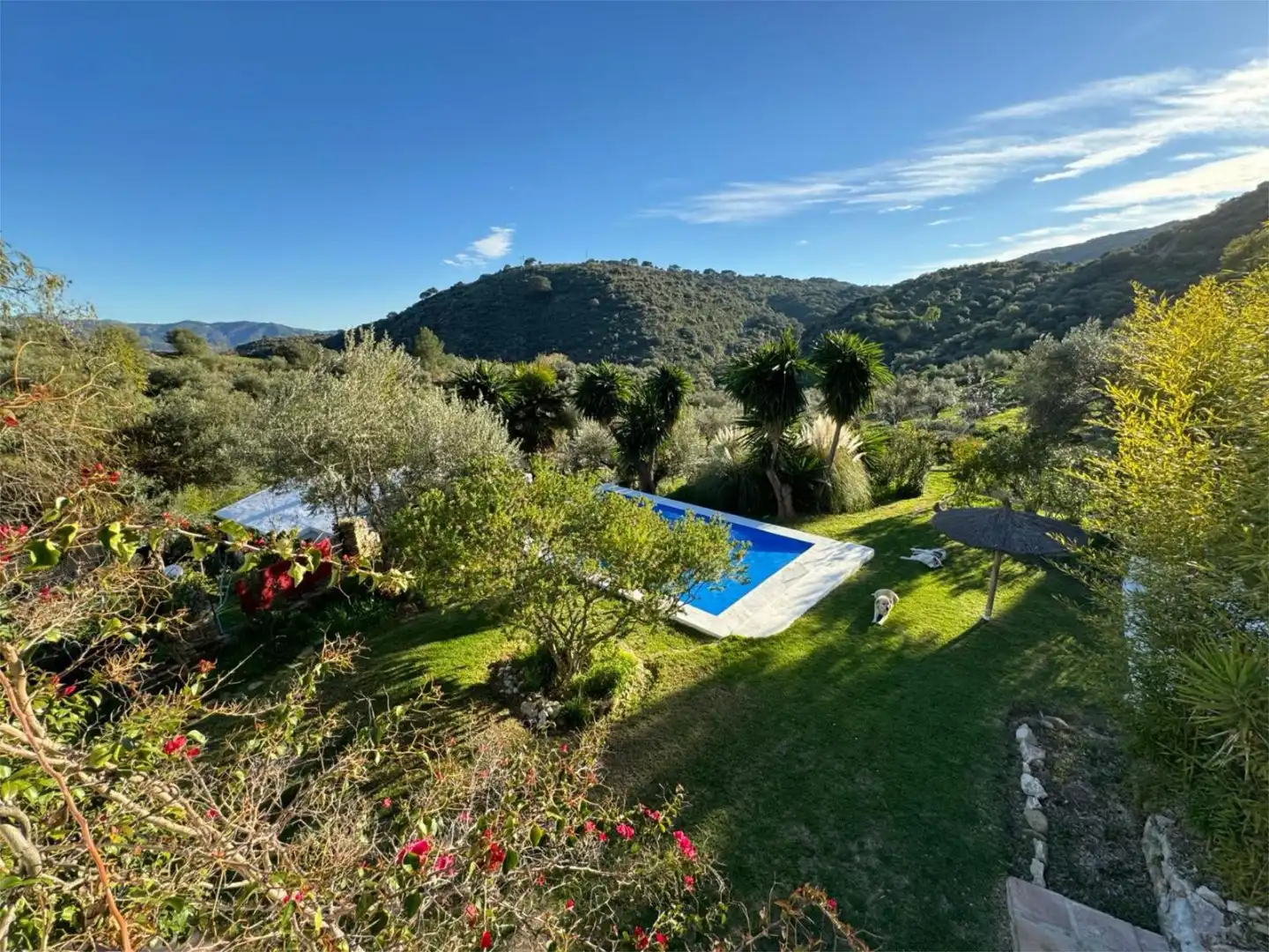 Casa o chalet de alquiler en Camino Fontana, 5, Cortes de la Frontera Jardín de Casa o chalet de alquiler en Cortes de la Frontera con Aire acondicionado, Calefacción y Jardín privado