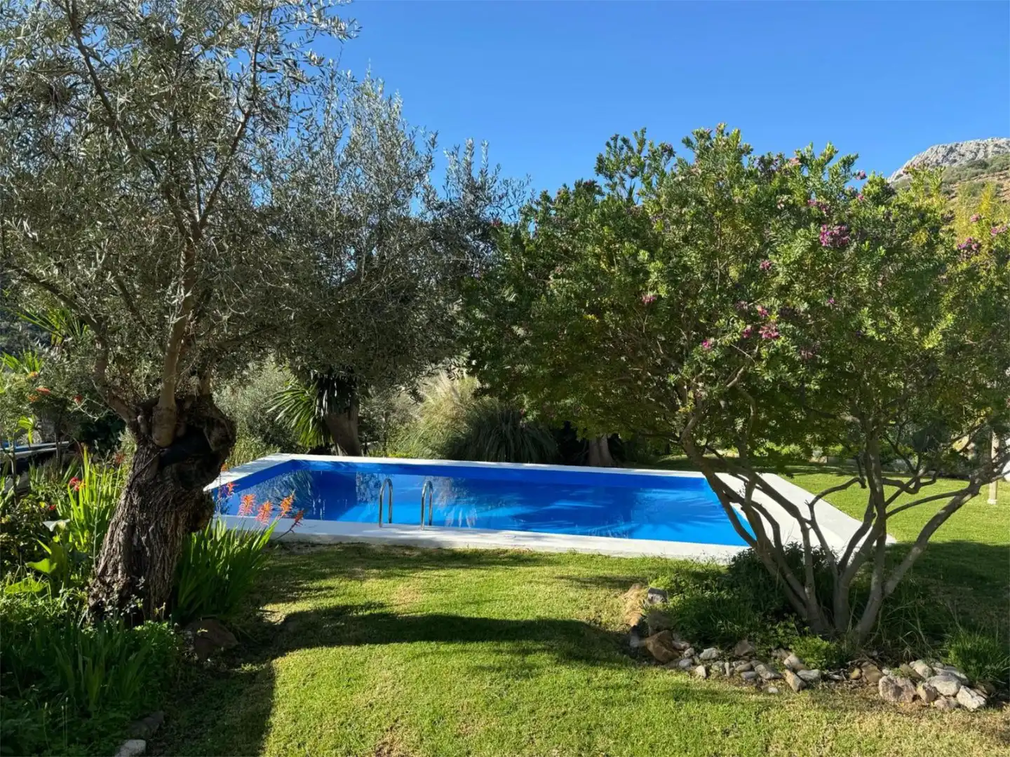 Casa o chalet de alquiler en Camino Fontana, 5, Cortes de la Frontera Piscina de Casa o chalet de alquiler en Cortes de la Frontera con Aire acondicionado, Calefacción y Jardín privado
