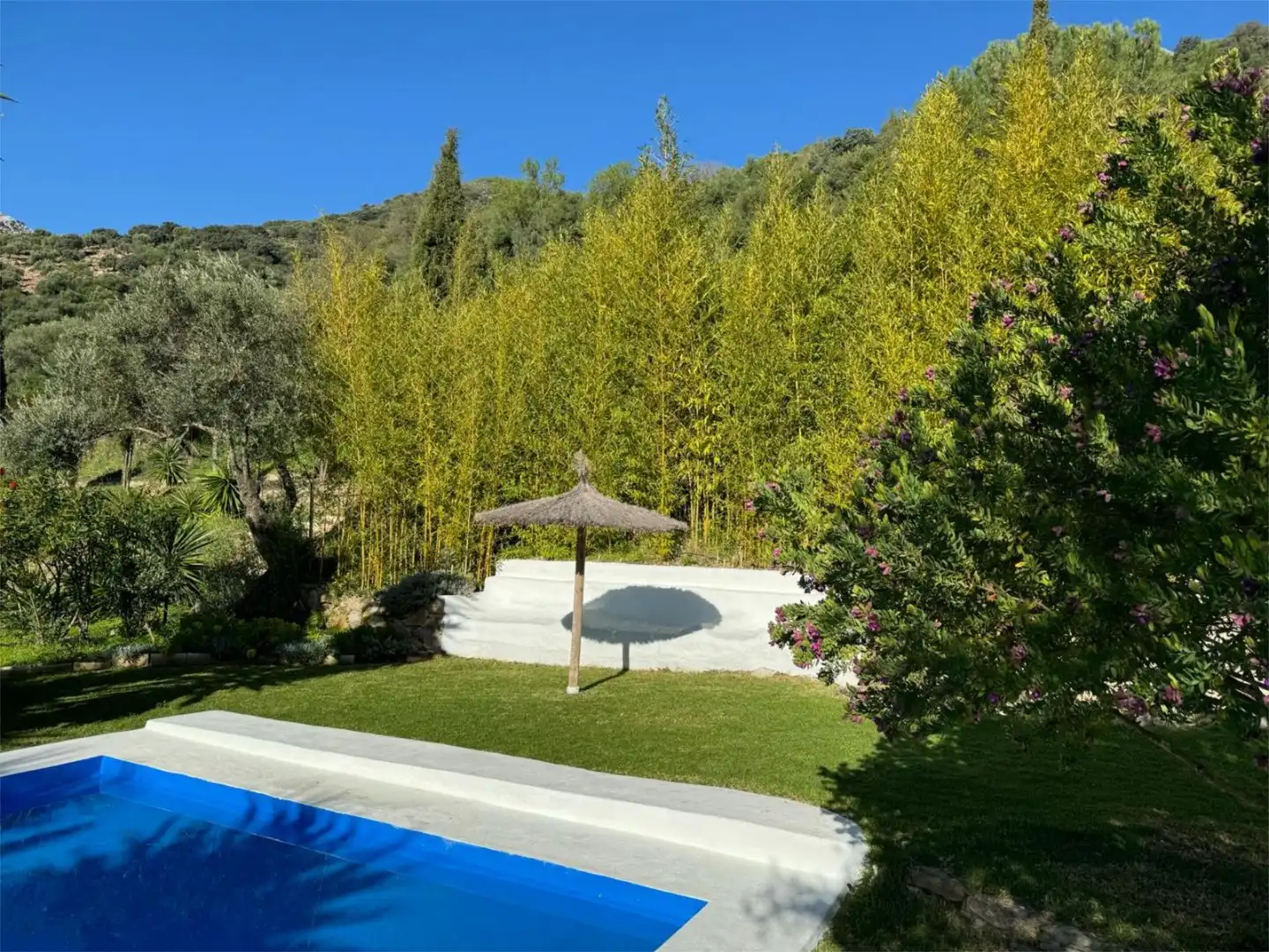 Casa o chalet de alquiler en Camino Fontana, 5, Cortes de la Frontera Jardín de Casa o chalet de alquiler en Cortes de la Frontera con Aire acondicionado, Calefacción y Jardín privado