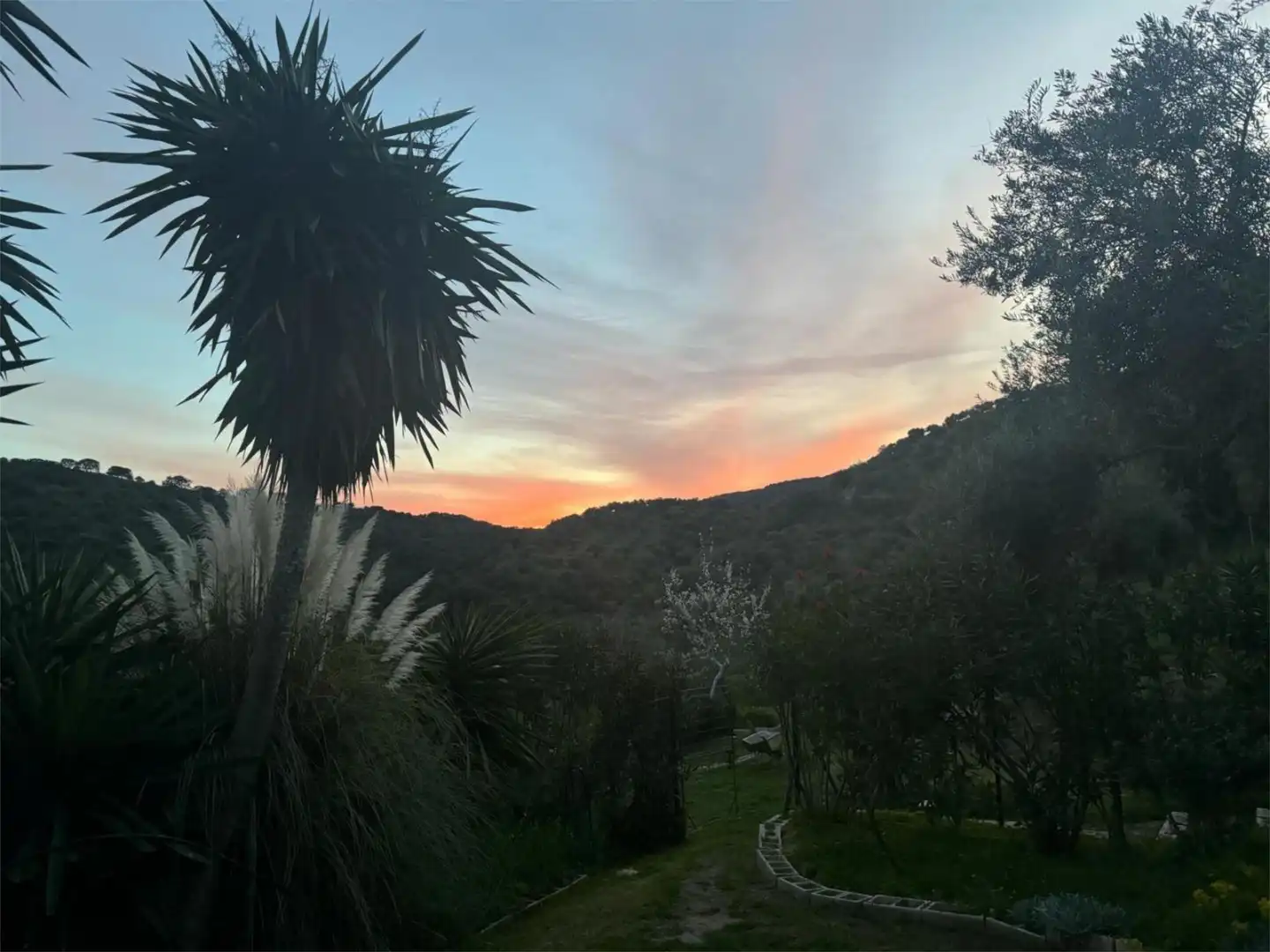 Casa o chalet de alquiler en Camino Fontana, 5, Cortes de la Frontera Jardín de Casa o chalet de alquiler en Cortes de la Frontera con Aire acondicionado, Calefacción y Jardín privado
