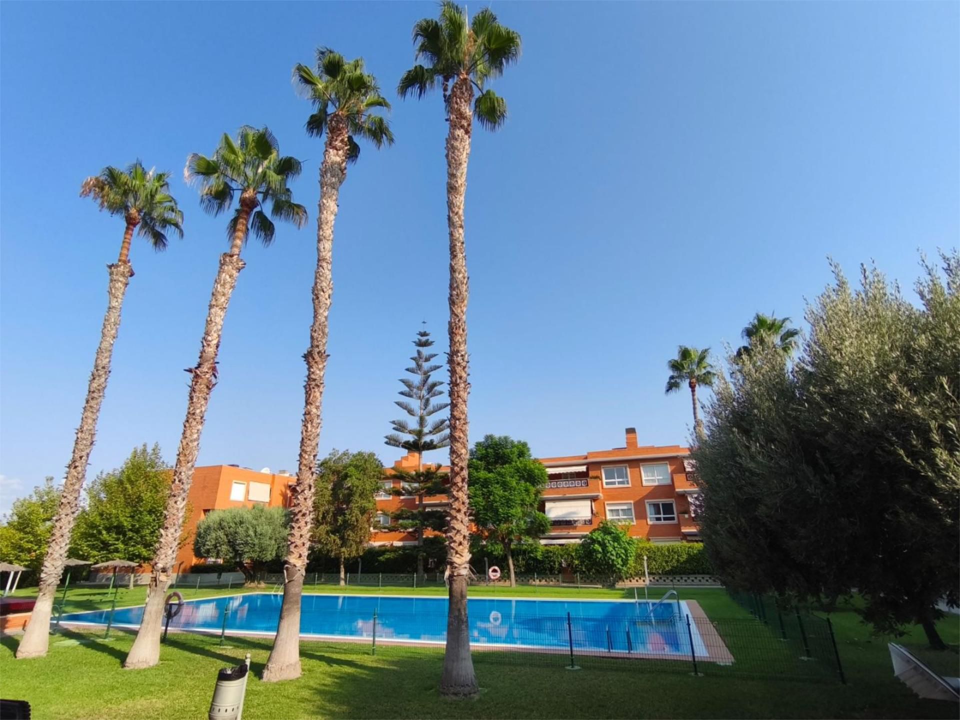 Swimming pool of Flat to rent in Alicante / Alacant  with Air Conditioner, Heating and Private garden