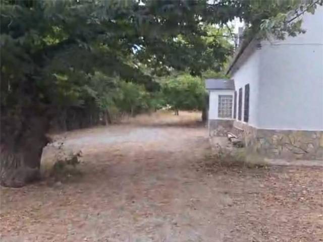 Finca rústica en Venta en Calle de la Virgen de las Nieves, 7 en Zona baja