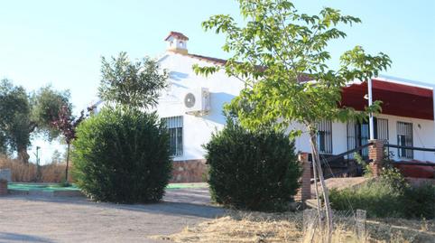 Photo 5 of House or chalet for sale in Calle Cumbre, 12, Alcaracejos, Córdoba