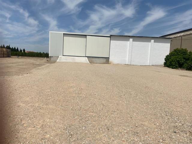 Nave industrial en Alquiler en Carretera Zeneta, 9T en Beniel