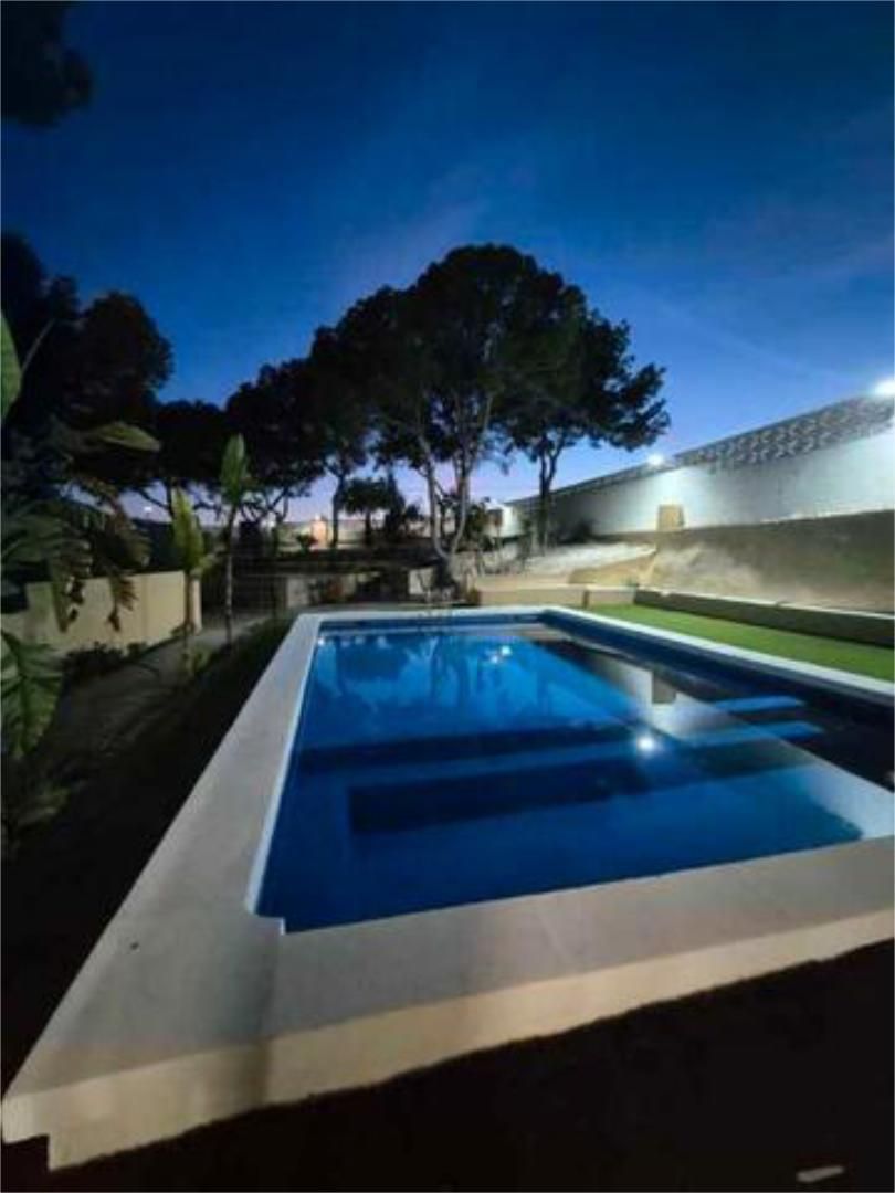 Swimming pool of Study to rent in Alicante / Alacant