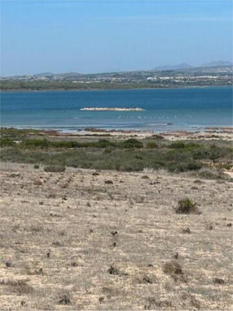 Pis de lloguer en Torrevieja amb Moblat