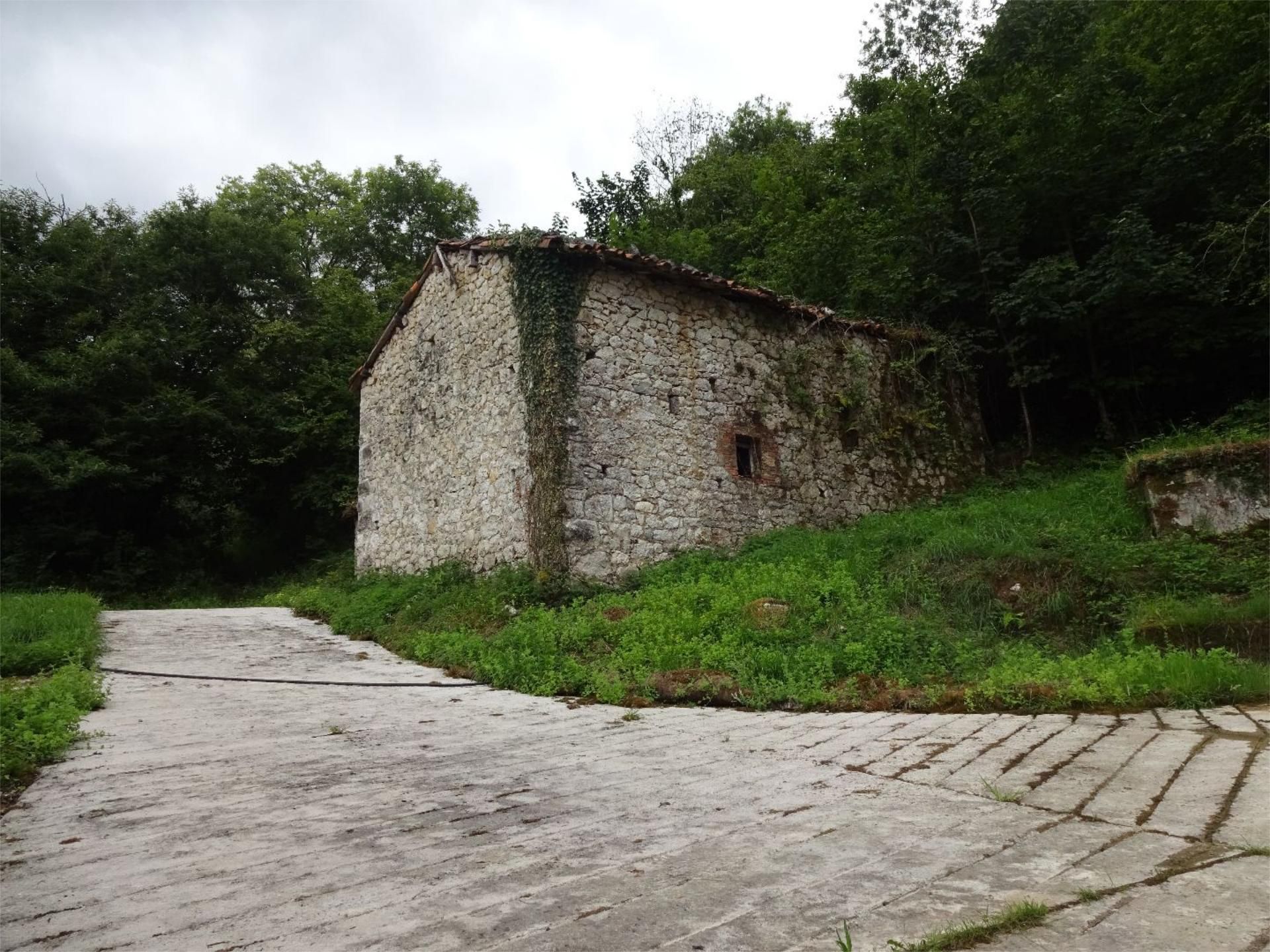 Exterior view of House or chalet for sale in Peñamellera Baja
