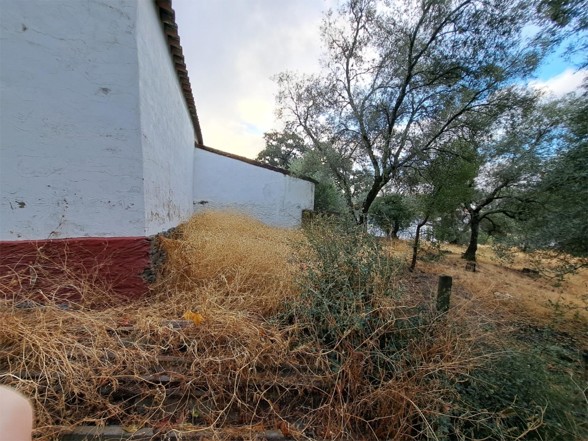 Garden of House or chalet for sale in Almonaster la Real  with Private garden