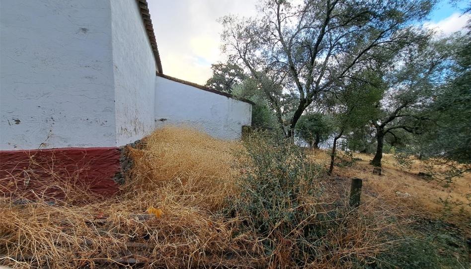 Photo 1 of House or chalet for sale in Calle Carretera, 6, Almonaster la Real, Huelva