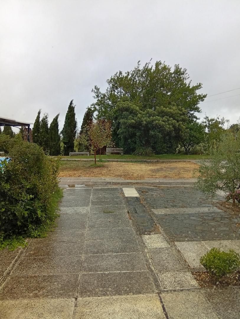 Casa o xalet per a compartir en Coria amb Terrassa, Moblat i Balcó