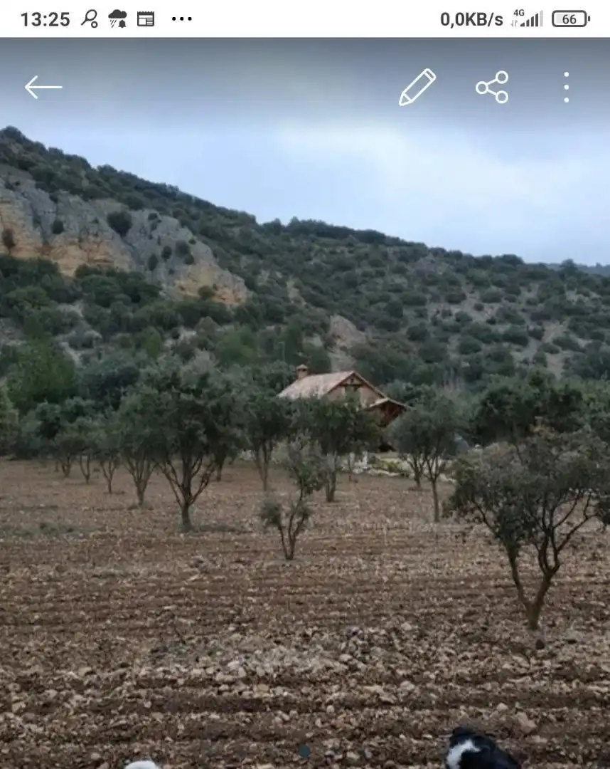 Land for sale in Calle Olmo, 14, Salvacañete Land for sale in Salvacañete