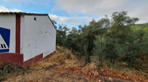 Foto 2 de Planta baixa en venda a Calle Carretera, 6, Almonaster la Real, Huelva