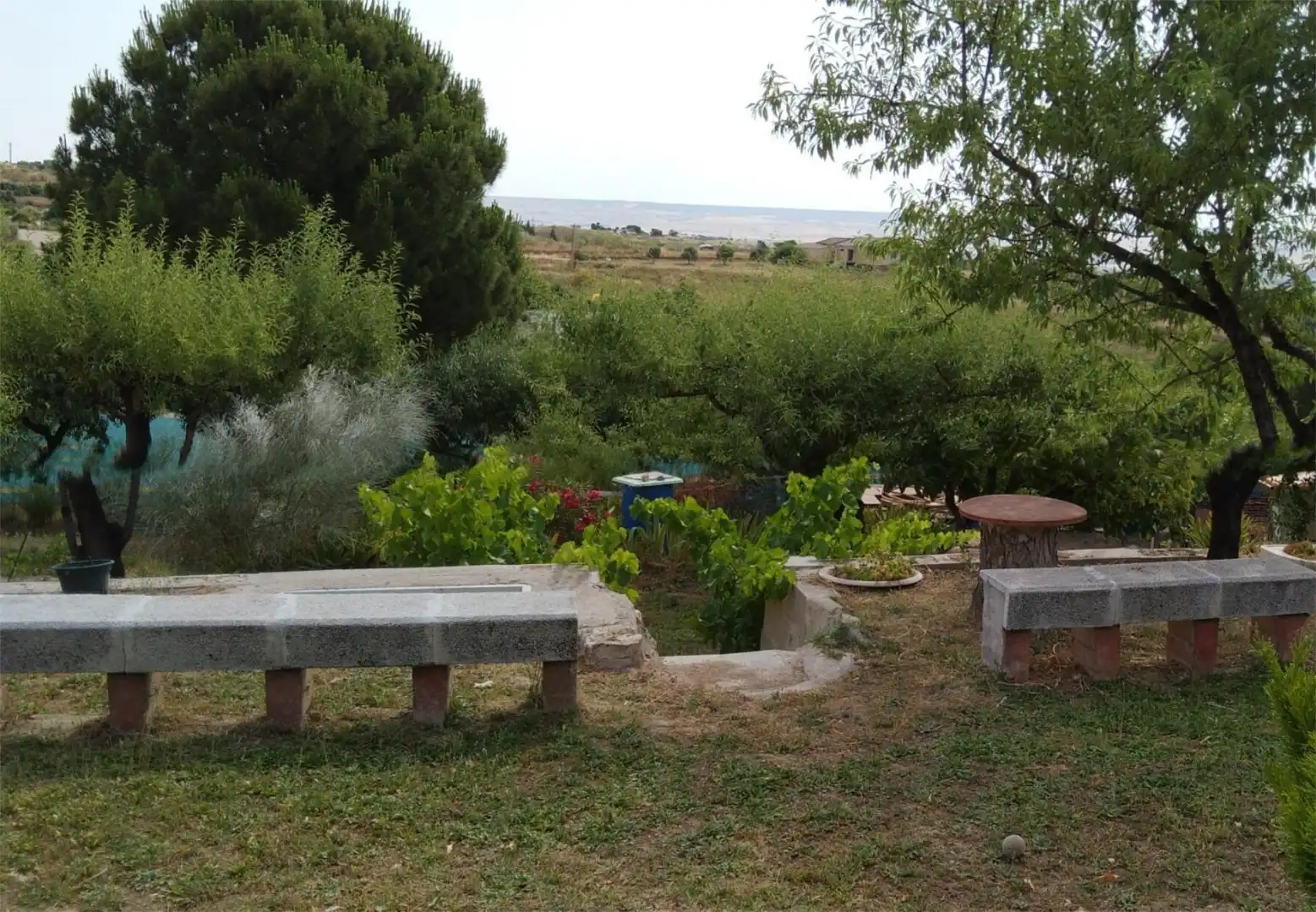 Country homes for sale in Diseminado Cabero Cm Cañada, 307, El Molar (Madrid) Garden of Country homes for sale in El Molar (Madrid)