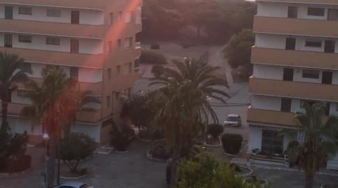 Apartament de lloguer a Urbanización Pinomar, 115, El Moncayo - El Pòrtic, Alicante - imatge 5 Foto 5 de Apartament de lloguer a Urbanización Pinomar, 115, El Moncayo - El Pòrtic, Alicante