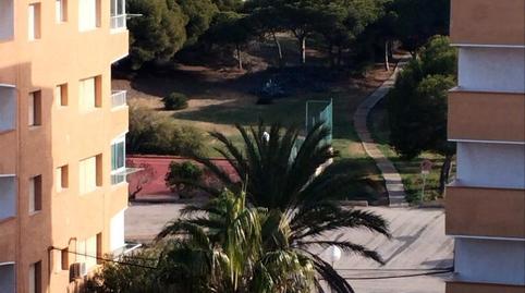 Apartament de lloguer a Urbanización Pinomar, 115, El Moncayo - El Pòrtic, Alicante - imatge 4 Foto 4 de Apartament de lloguer a Urbanización Pinomar, 115, El Moncayo - El Pòrtic, Alicante