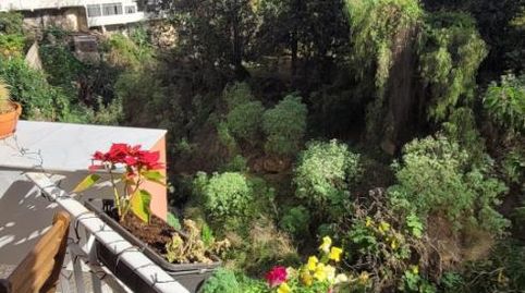 Foto 2 de Estudio en venta en Calle Alemania, 10, San Antonio - Las Arenas, Puerto de la Cruz