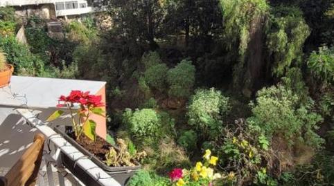 Estudi en venda a Calle Alemania, 10, San Antonio - Las Arenas, Santa Cruz de Tenerife - imatge 5 Foto 5 de Estudi en venda a Calle Alemania, 10, San Antonio - Las Arenas, Santa Cruz de Tenerife