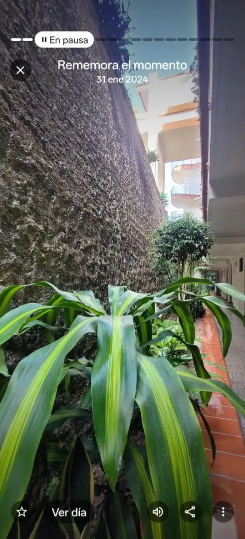Study for sale in Calle Alemania, 10, San Antonio - Las Arenas Garden of Study for sale in Puerto de la Cruz with Swimming Pool and Balcony