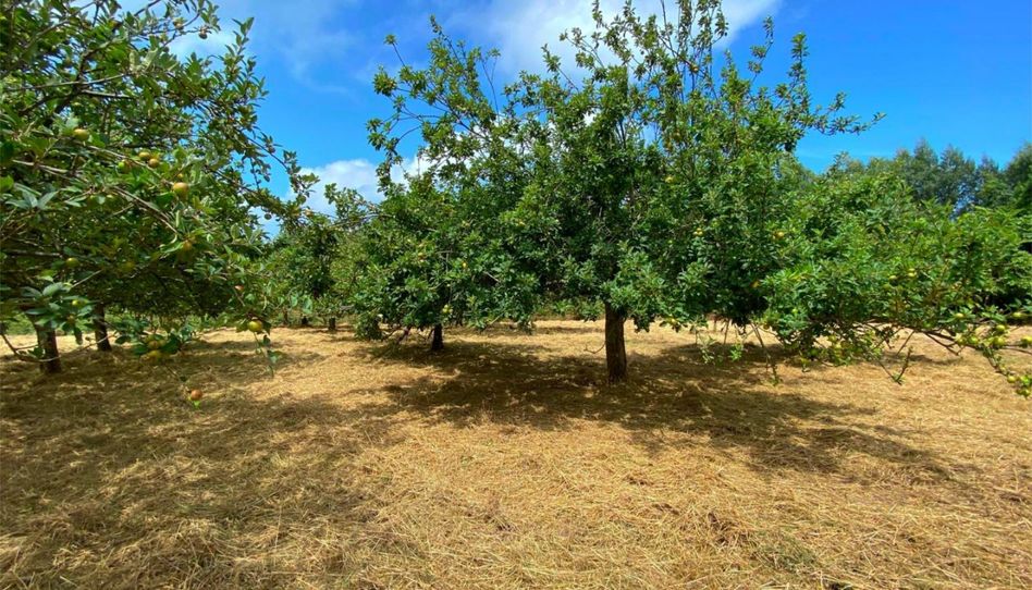 Terreno en venta en Lugar Tuero, 31, Tazones - Argüero, Villaviciosa - imagen 1 Foto 1 de Terreno en venta en Lugar Tuero, 31, Tazones - Argüero, Villaviciosa