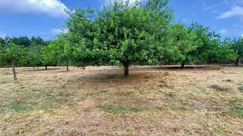 Terreno en venta en Lugar Tuero, 31, Tazones - Argüero, Villaviciosa - imagen 2 Foto 2 de Terreno en venta en Lugar Tuero, 31, Tazones - Argüero, Villaviciosa