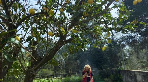 Pis en venda a Carrer Sans, 5, El Montmell, Tarragona - imatge 3 Foto 3 de Pis en venda a Carrer Sans, 5, El Montmell, Tarragona