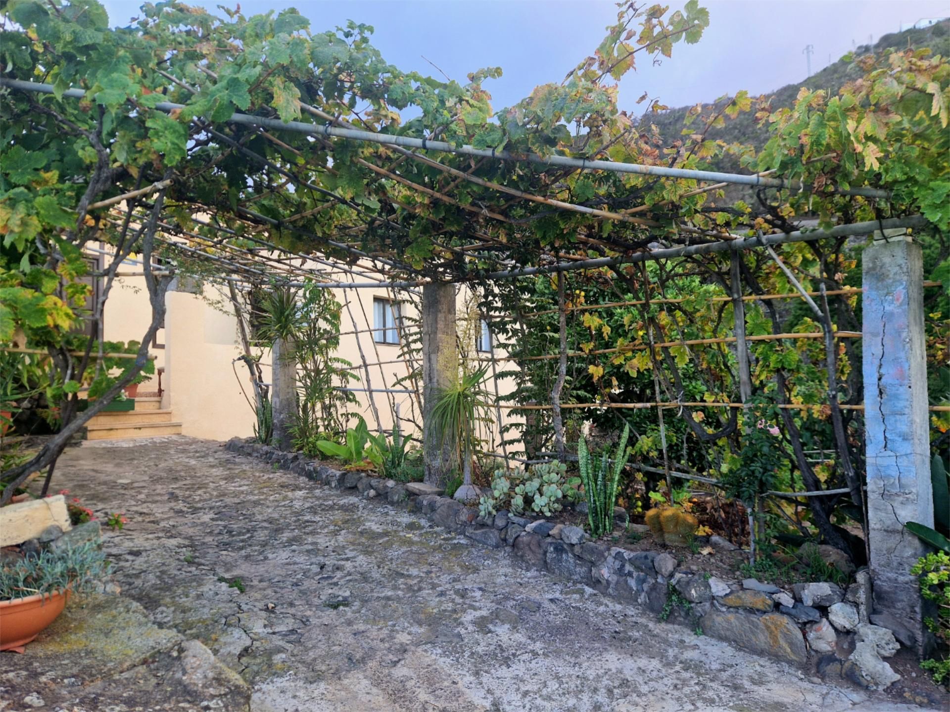 Garden of Country house to rent in Icod de los Vinos  with Private garden, Terrace and Furnished