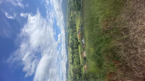 Finca rústica en venta en Corvera de Asturias, Asturias - imagen 5 Foto 5 de Finca rústica en venta en Corvera de Asturias, Asturias