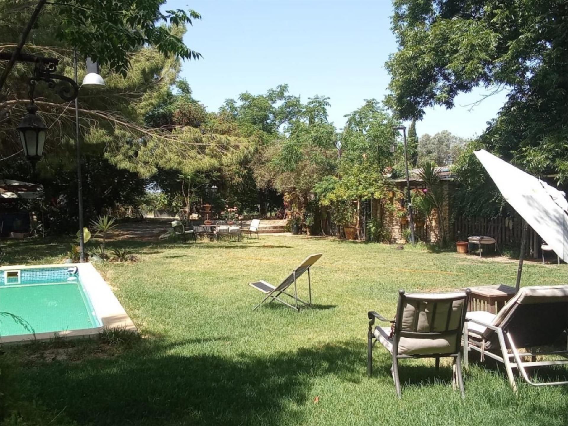 Garden of Country house for sale in Gelves  with Air Conditioner, Heating and Swimming Pool