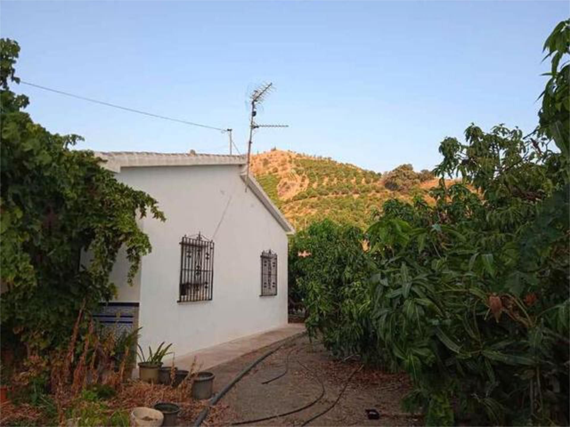 Exterior view of House or chalet for sale in Cútar