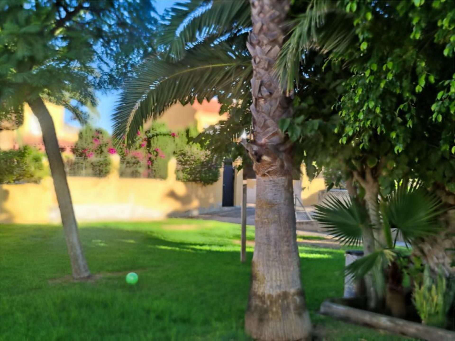 Flat to rent in Calle Historiador Juan Manzano, 17, Condequinto Garden of Flat to rent in Montequinto  with Air Conditioner, Storage room and Furnished