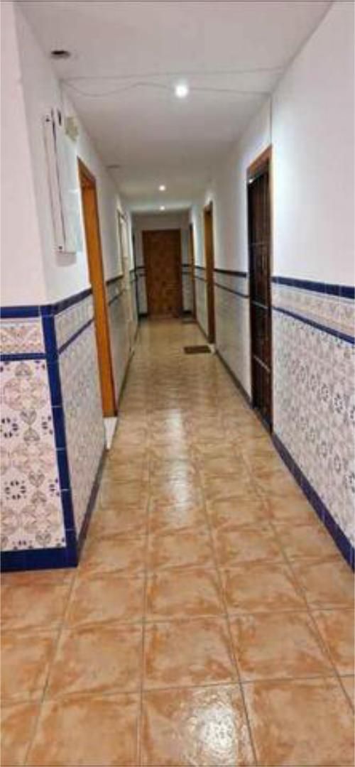 Estudio de alquiler en Torrevieja con Piscina y Amueblado