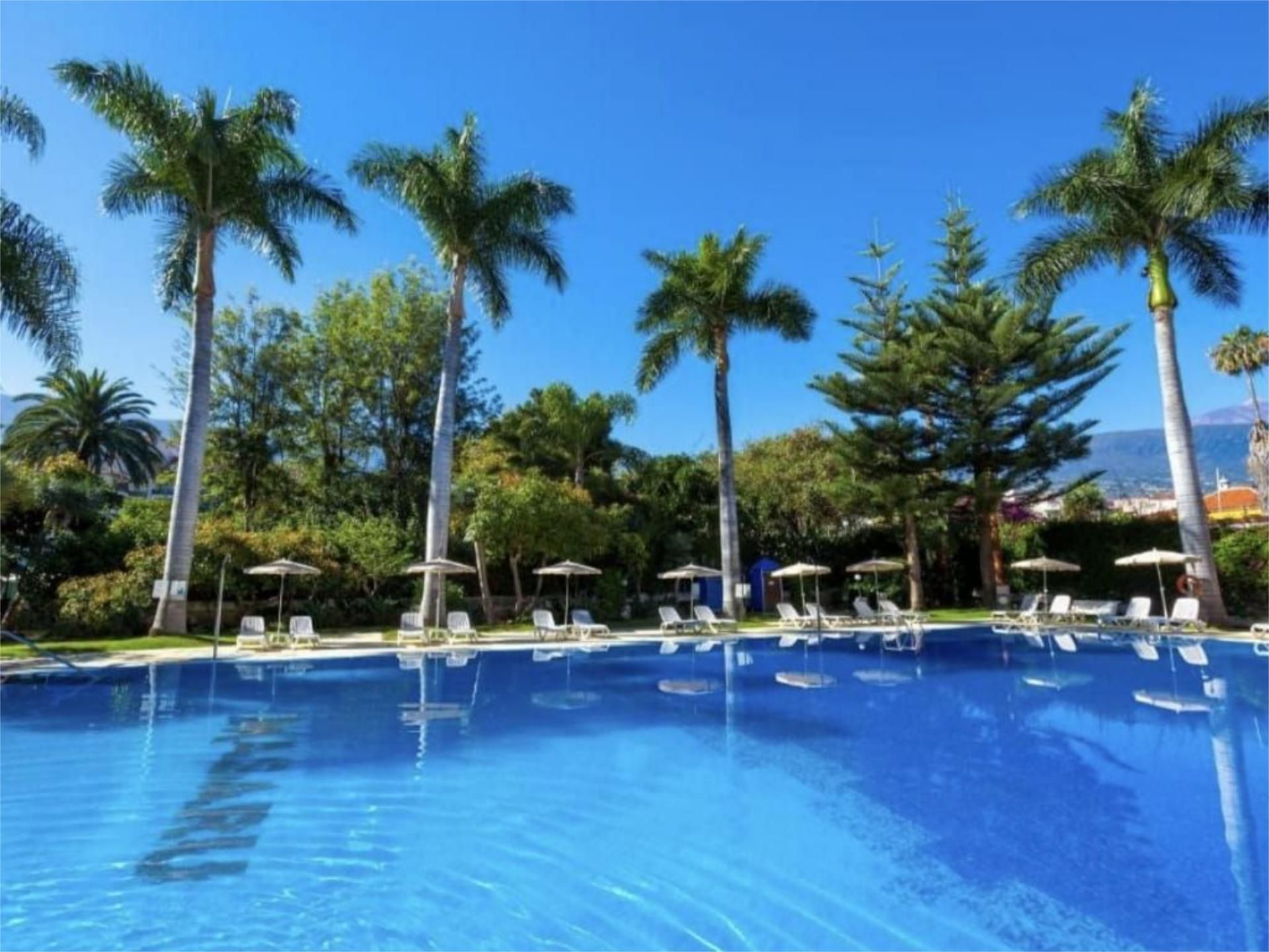 Swimming pool of Study for sale in Puerto de la Cruz  with Private garden, Terrace and Swimming Pool