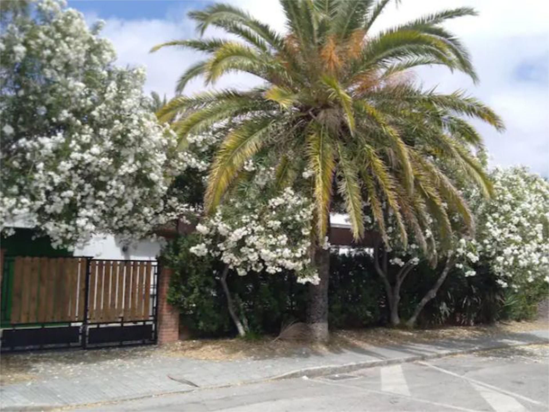Exterior view of Flat to rent in El Puerto de Santa María  with Air Conditioner, Heating and Private garden