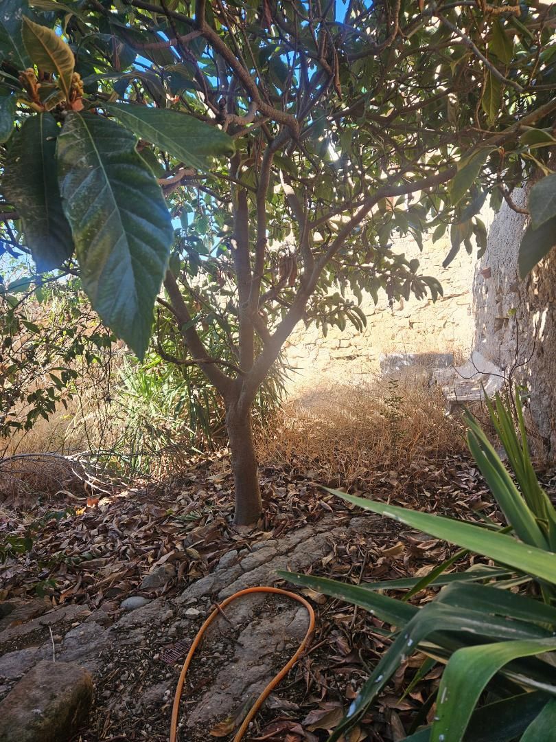 Garden of Single-family semi-detached for sale in Torrebesses  with Private garden, Terrace and Storage room