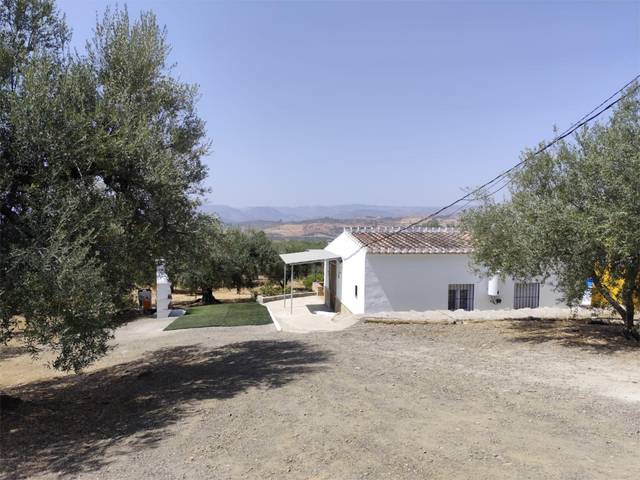 Finca rústica en Alquiler en Calle Camino del Barrero, 21 en Periana