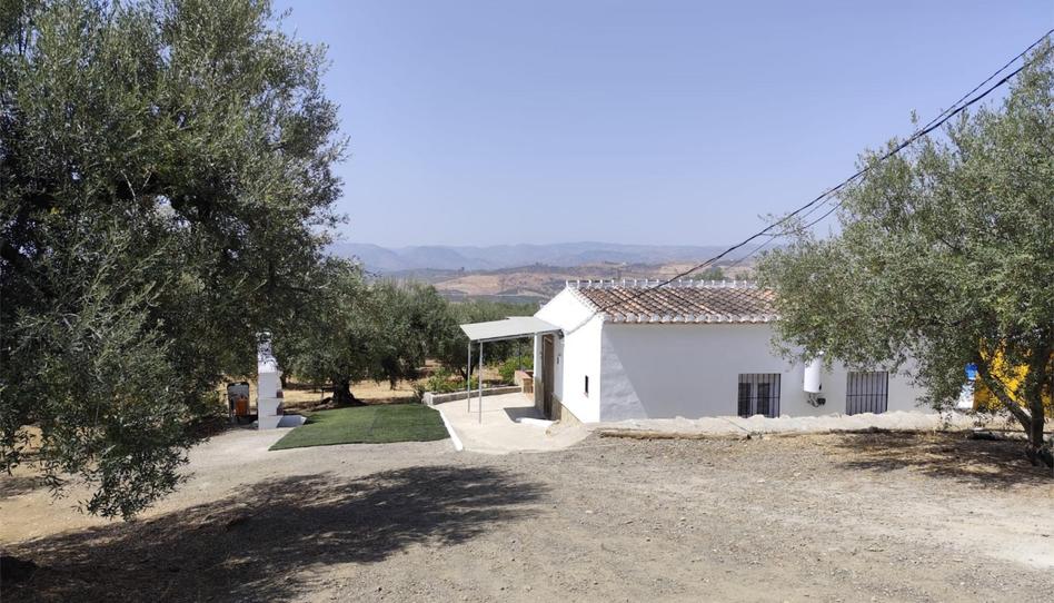 Finca rústica de lloguer a Calle Camino del Barrero, 21, Periana, Málaga - imatge 1 Foto 1 de Finca rústica de lloguer a Calle Camino del Barrero, 21, Periana, Málaga