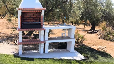 Finca rústica de lloguer a Calle Camino del Barrero, 21, Periana, Málaga - imatge 5 Foto 5 de Finca rústica de lloguer a Calle Camino del Barrero, 21, Periana, Málaga