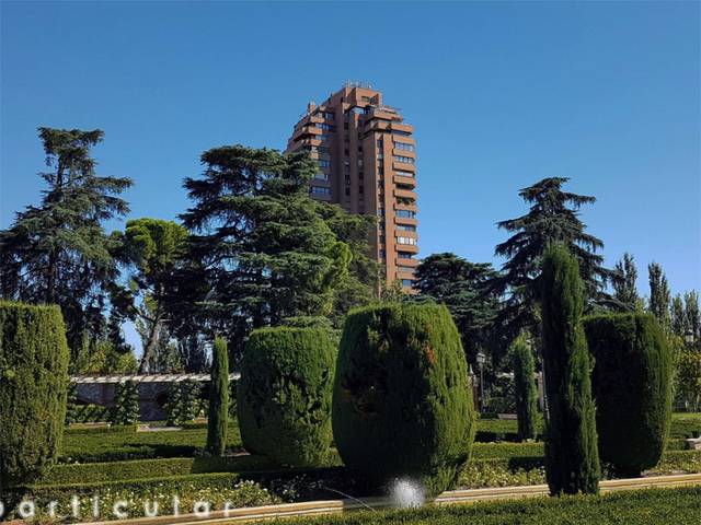 Piso en Alquiler en Avenida de Menéndez Pelayo, 67 en Niño Jesús