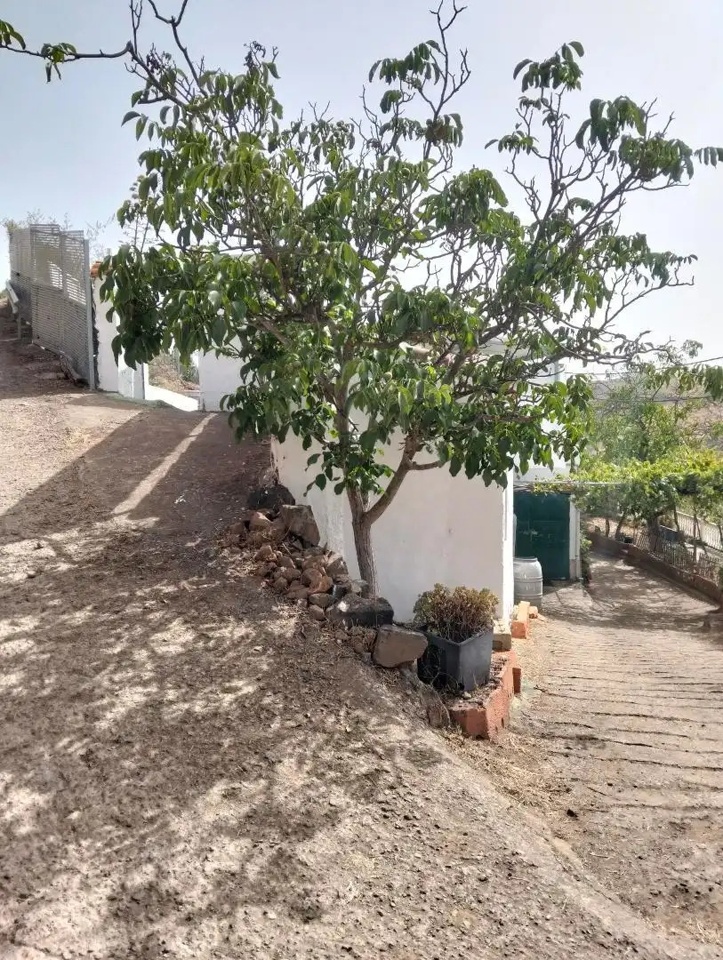Detached homes for sale in GC-600, 29, Vega de San Mateo Garden of Detached homes for sale in Vega de San Mateo with Heating, Private garden and Terrace